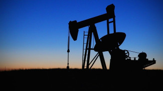 В Самарской области открыли новое нефтяное месторождение на 0,75 млн тонн