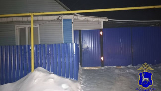 Пьяный конфликт парня с матерью закончился вызовом саперов по Самарой