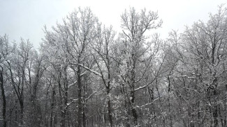 В Самарской области на 3 февраля объявили штормовое предупреждение из-за снежной бури
