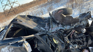 Под Самарой 2 февраля столкнулись «Ласточка» и легковой автомобиль