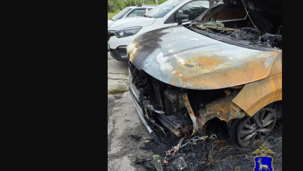 Тольяттинец поджёг служебную KIA после увольнения