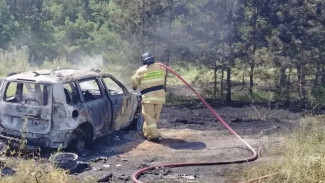 В Шигонском районе лесники и МЧС тушили загоревшийся автомобиль 29 июля