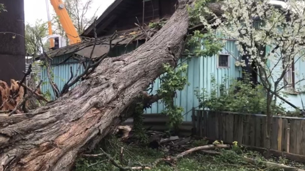 Поваленные деревья, проломленные крыши домов: когда дойдет ураган до Самарской области