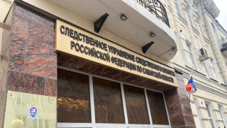 Глава СКР А. Бастрыкин запросил доклад о нарушении прав многодетной семьи из Самарской области