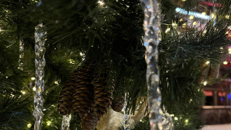 Синоптики обещают самарцам снежный январь и мороз до -13 градусов