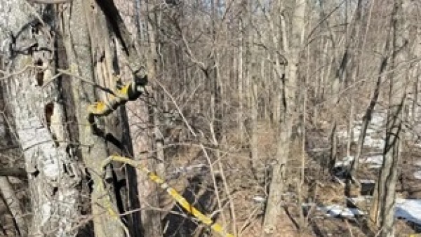 Женщина на квадроцикле влетела в дерево под Самарой и попала в больницу