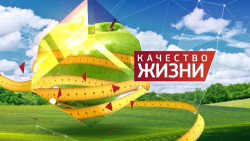 Качество жизни