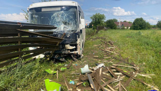 Под Самарой укус осы спровоцировал ДТП с пассажирским автобусом