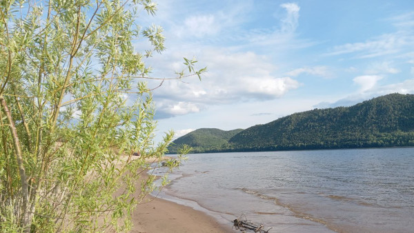 На Грушинской поляне в Самарской области выступят Лоза, Ромарио, Козловский