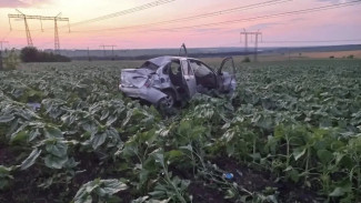 Смертельное ДТП под Самарой: автомобиль Лада Калина вылетел в кювет на трассе Усолье – Тайдаково