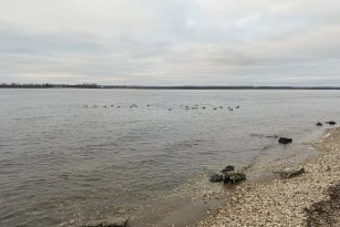 С 24 апреля в Самарской области вводится новое расписание речных перевозок 