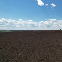 В Самарской области вернули в оборот 153 гектара заросшей земли