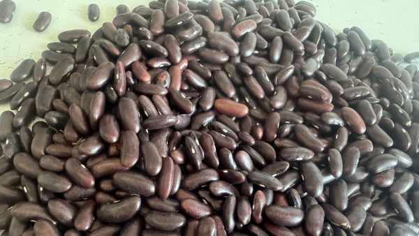 В Самарской области остановили ввоз опасных продуктов