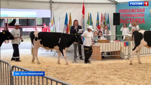 Агровыставка в Самарской области собрала 500 участников