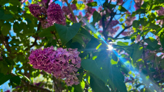 Жителям Самары посоветовали запастись солнцезащитным кремом и головными уборами