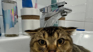 Психологи раскрыли подробности эффекта «эгоцентрической предвзятости»