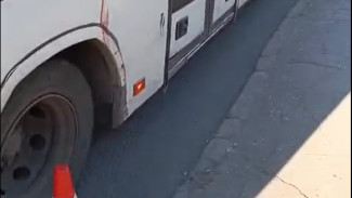 Дочь самарской пенсионерки, зажатой дверью автобуса, рассказала свою версию леденящего кровь происшествия