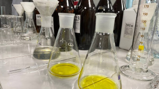 В селе Курумоч Самарской области введен карантин из-за опасной инфекции