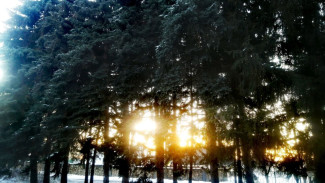 Синоптики назвали сроки аномальных температур летом 2024 в Самаре