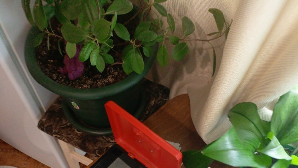 Сожители с наркотиками попались в Самаре и отказались от показаний