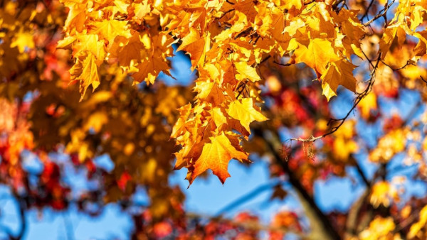 В Самарской области временно ограничат посещение популярных туристических маршрутов