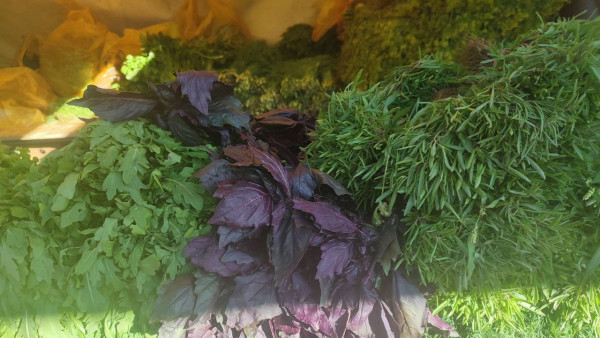 Эндокринолог А. Самойлова назвала овощ, который поможет спасти печень