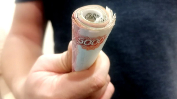 Самарским ветеранам СВО дадут до 350 тысяч на бизнес