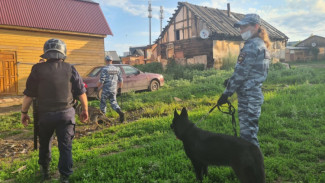 В Красноглинском районе Самары заметили ОМОН и кинологов с собаками 