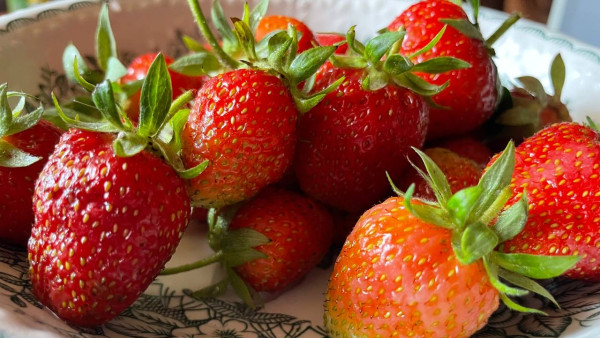 Народные приметы: 14 июля. Не повышайте голос на Летние Кузьминки, если не хотите попасть в беду