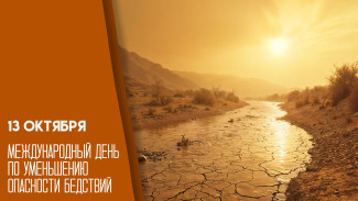 13 октября отмечается Международный день снижения риска бедствий: история, традиции и поздравления