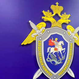 Глава СК России А.Бастрыкин потребовал доклад о нарушении прав жильцов аварийного дома в Самаре