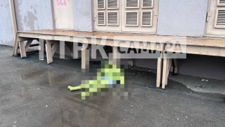 Жители Самары нашли на детской площадке уставшего зеленого Шрека