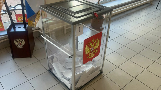 Самарцам рассказали, когда будут опубликованы официальные итоги сентябрьских выборов-2026 
