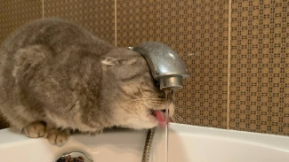 В Самаре на 100 улицах временно отключат воду 30 сентября