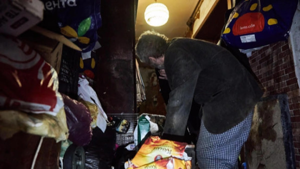 В квартире на Мориса Тореза в Самаре нашли 16 кошек и горы мусора