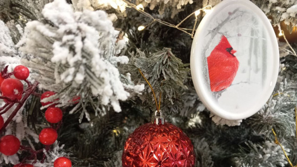 Специально для самарцев провели битву натуральной и искусственной елки 