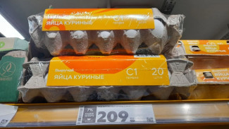 Яйца в Самаре подскочили в цене до 99 рублей за десяток перед Пасхой 2026