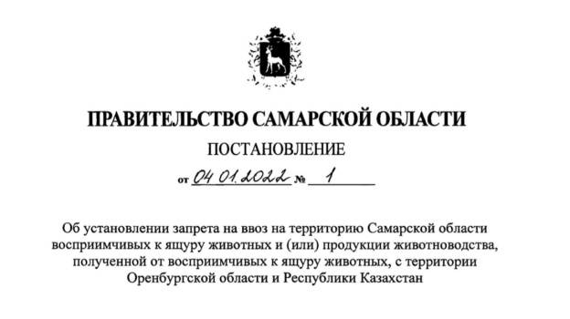 Правительство самарской постановление. Правительство ввело запрет на ввоз.