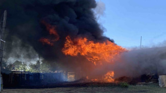 В МЧС рассказали о главных виновниках пожаров в Самарской области  