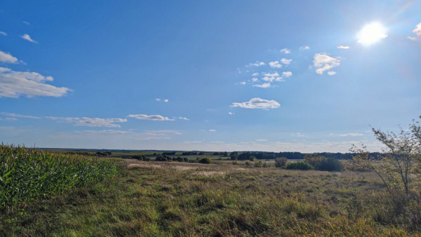 Экс-глава самарского Росимущества пойдет под суд из-за продажи земли на 450 млн руб