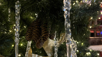 Синоптики обещают самарцам снежный январь и мороз до -13 градусов