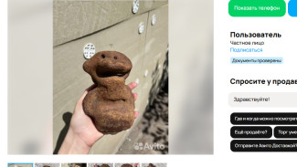 Самарцам предлагают купить метеорит необычной формы за 5 млн. рублей