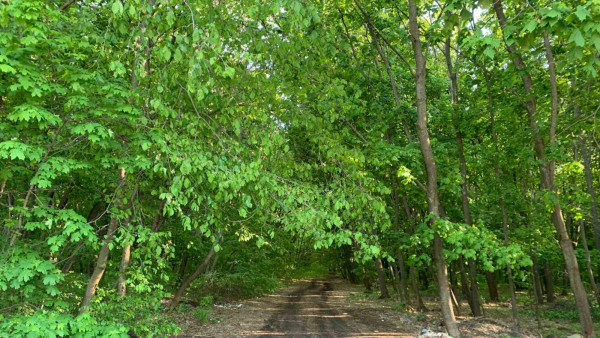 В лес ни ногой: в Самарской области растет риск пожаров