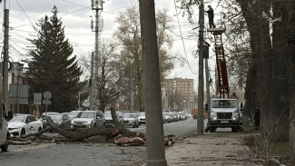 7 троллейбусов в Самаре изменили маршрут 27 апреля