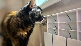 В Самаре на Солнечной остались без отопления школа, детский сад и 10 МКД