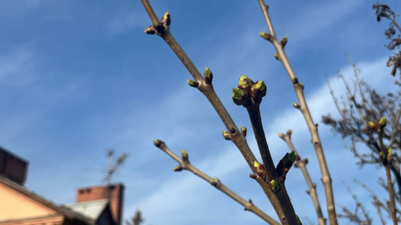 Рекордное количество самарцев собираются работать на майских праздниках