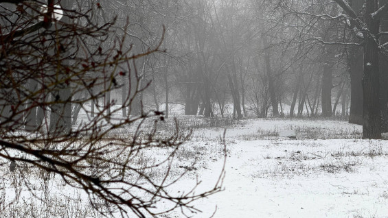 В Самарскую область в середине недели придут сильные морозы 