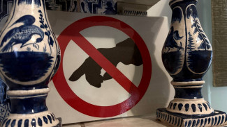 Школьный музей Самары победил в конкурсе ПФО «Герои Отечества»