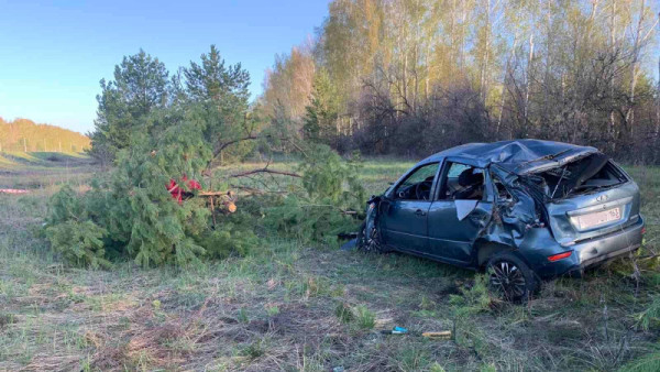 В Самарской области 24-летний москвич на "Калине" погиб в ДТП