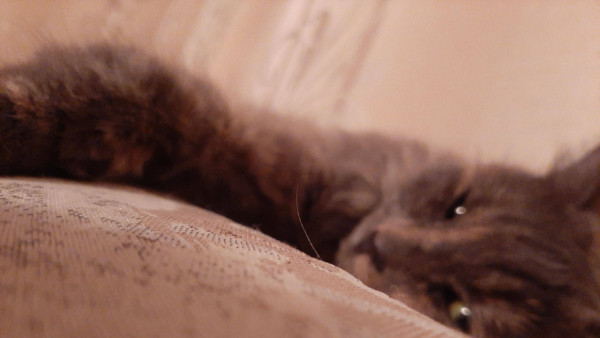 Народные приметы на 9 февраля: как стать богатым в Златоустов день 